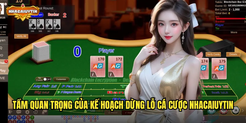 Tầm quan trọng của kế hoạch dừng lỗ cá cược nhacaiuytin