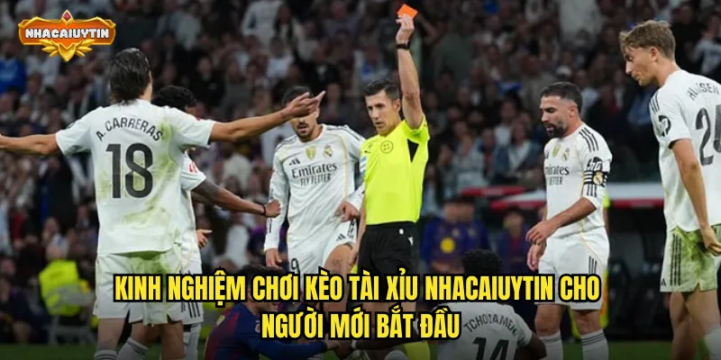 Kinh nghiệm chơi kèo tài xỉu nhacaiuytin cho người mới bắt đầu